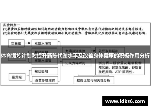 体育锻炼计划对提升新陈代谢水平及改善身体健康的积极作用分析